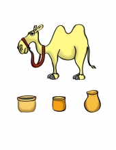 Camel Accessories