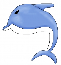 Dolphin jpg