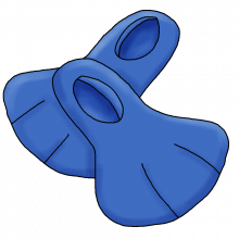 Flippers png