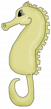 Seahorse png