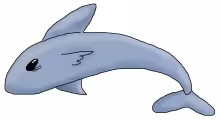 Shark jpg