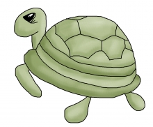 Turtle jpg