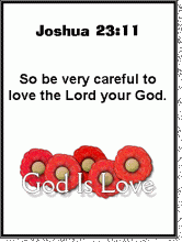 Joshua 23-11